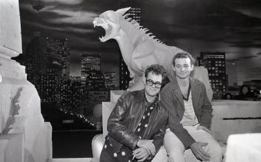 danbillterrordogstat