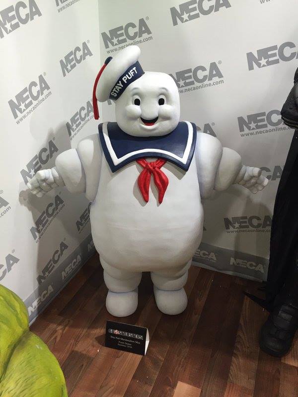 necanytf16gbstaypuftstat